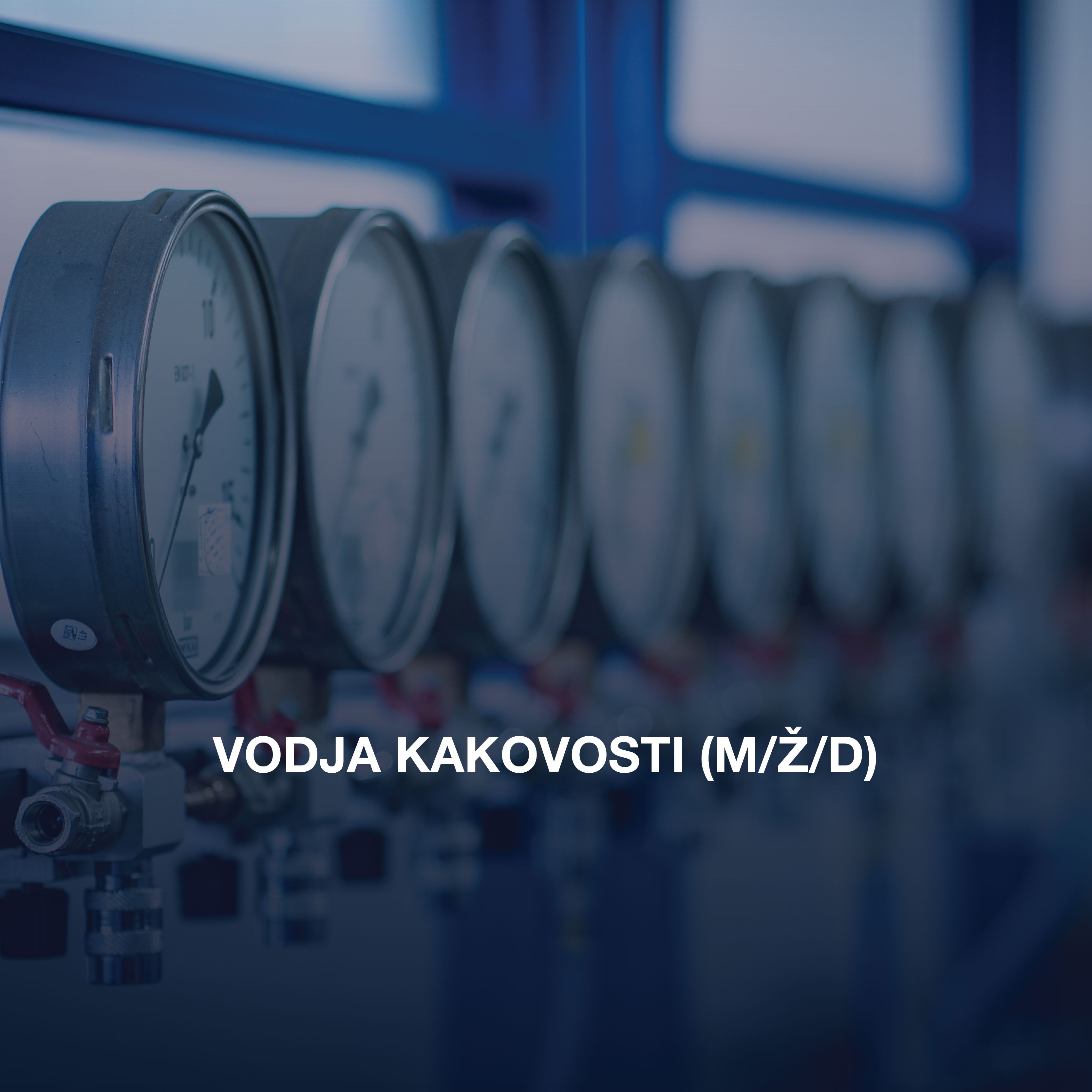 VODJA KAKOVOSTI (m/ž/d)